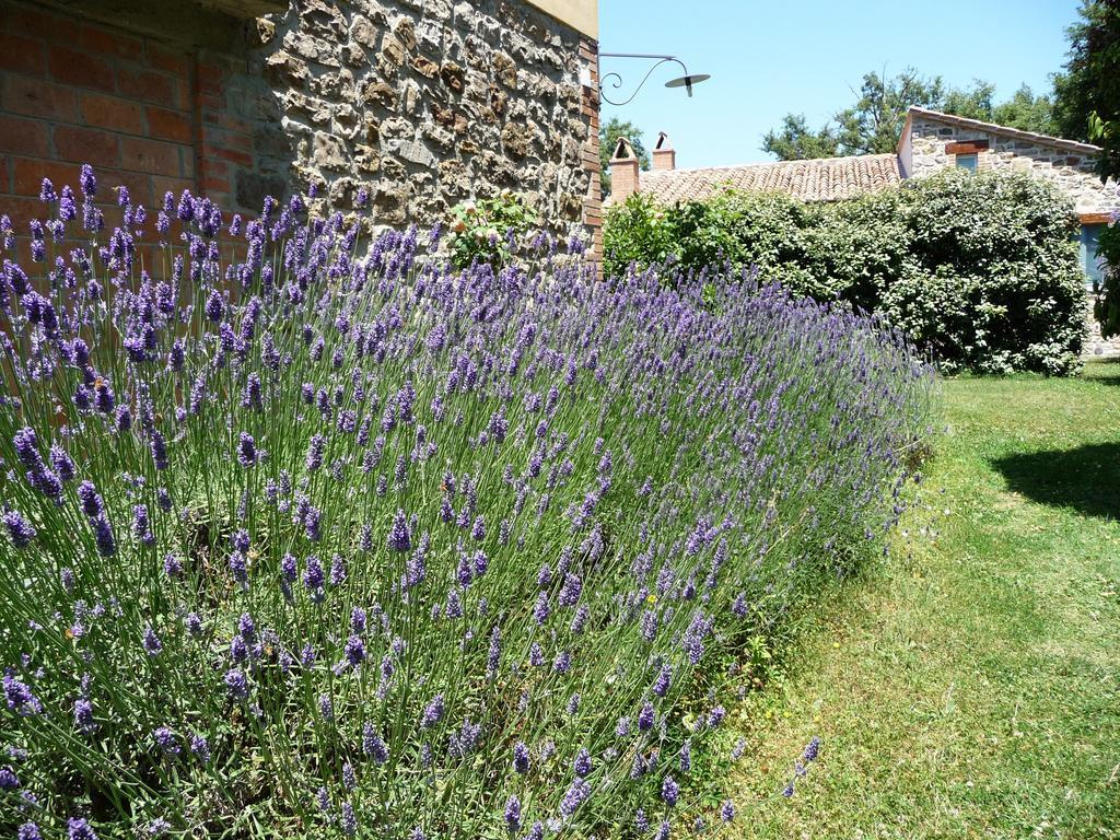 Podere Sant'Angelo Roccalbegna Exterior foto